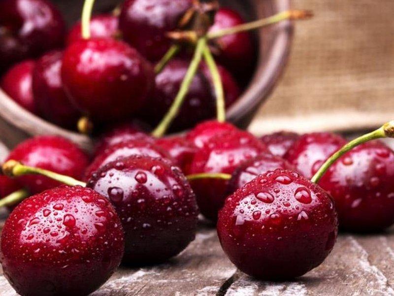Вишня купить саженцы из питомника в Выксе